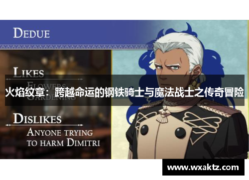 火焰纹章:跨越命运的钢铁骑士与魔法战士之传奇冒险